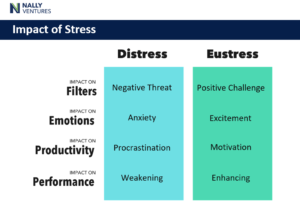impact of stress